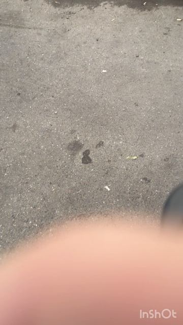 Автоаксессуар VAG смотреть онлайн