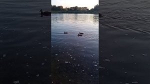 Река Мрассу.