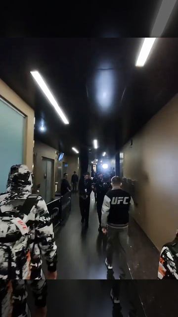 UFC: Ян vs Двалишвили. Пётр Ян на арене смотреть онлайн