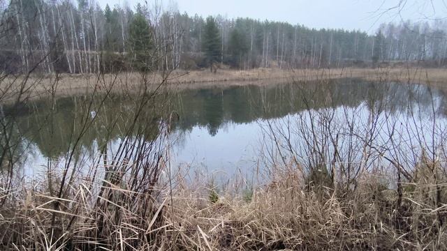 Пруд. Декабрь 2025