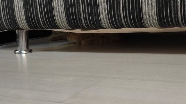 играем в прятки смотреть онлайн