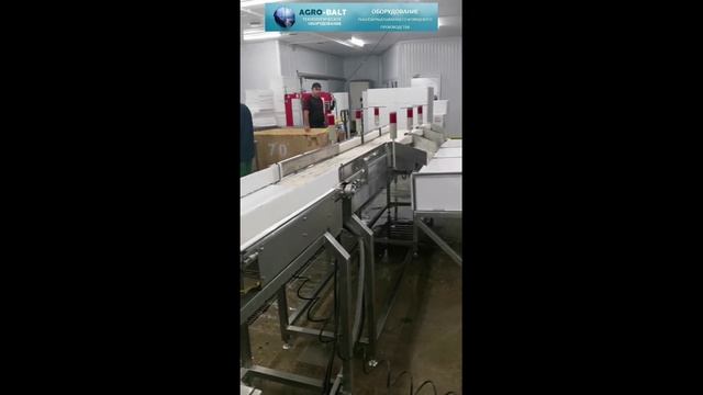 Грейдер для сортировки рыбы по весу. смотреть онлайн