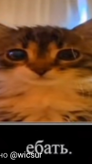 Гарри Поттер в реальной жизни