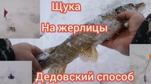 ЭТО ОЗЕРО КИШИТ ЩУКОЙ ... Рыбалка НА ЖЕРЛИЦЫ.