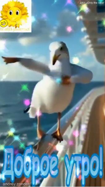 Доброе утро!) Замечательного дня!) #доброеутро смотреть онлайн