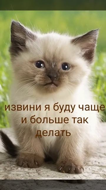 забыли!😀 смотреть онлайн