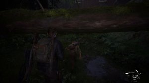 Прохождение: The Last of Us Part II. Remastered. Часть 16