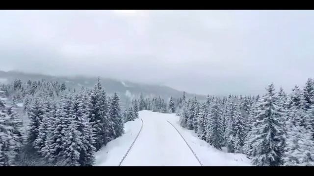 Богородица Дево Радуйся