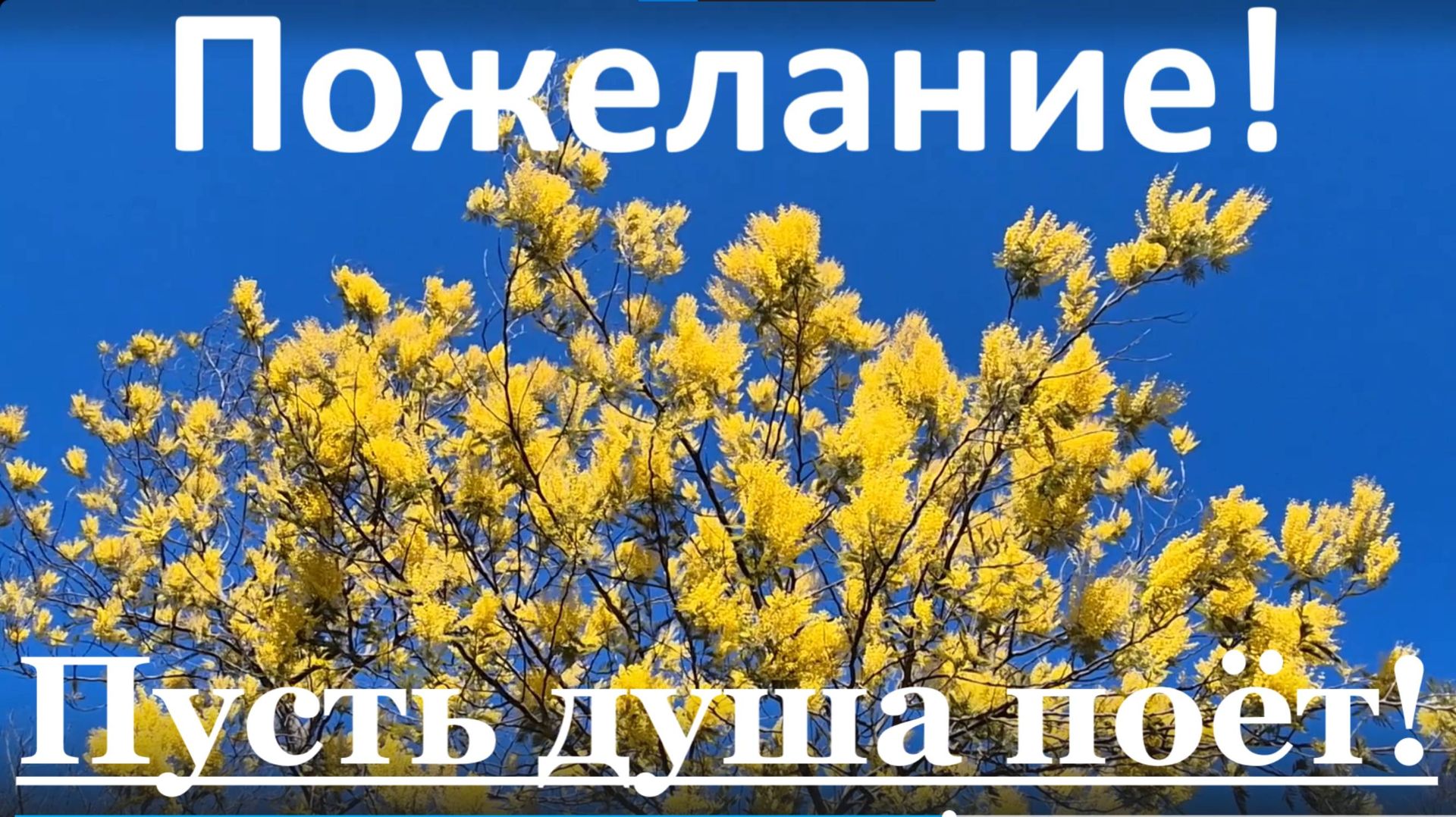 Пожелание! Пусть в светлый день такой душа поёт! смотреть онлайн