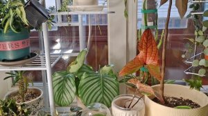 Обзор новинок