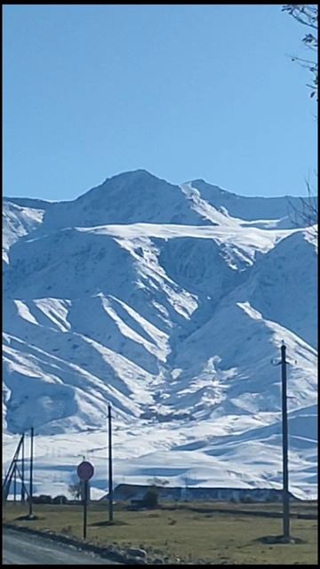 расул шиштапа