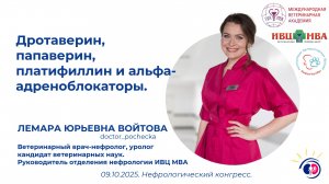 Дротаверин, папаверин, платифиллин и альфа-адреноблокаторы. Лемара Войтова.