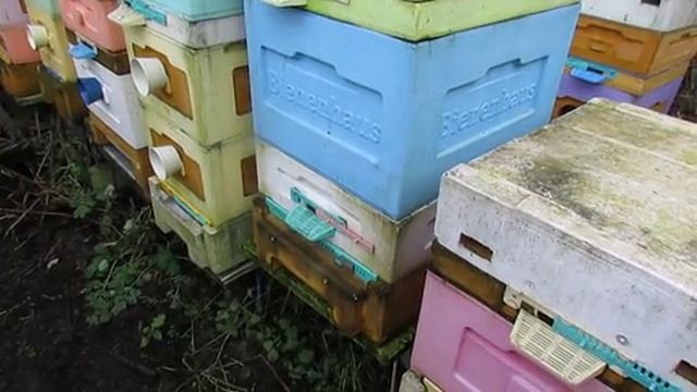 работа на пасеке в декабре, температура на улице плюс три градуса , часть 4 , 7.12.2025 смотреть онлайн