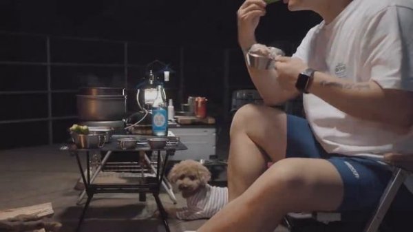 Индивидуальный кемпинг под проливным дождем и грозой с моей собакой . Отдых в палатке ASMR