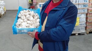 Грибы на сковороде в майонезе.