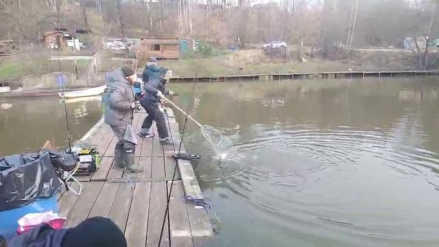 Спорт на резину смотреть онлайн