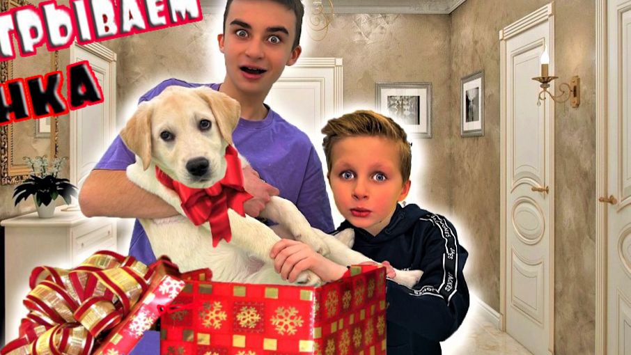 ЗАБРАЛ ВСЕ ДЕНЬГИ У БРАТА И КУПИЛ ЩЕНКА ! СКЕТЧ на #CRAZYБОГДАШ