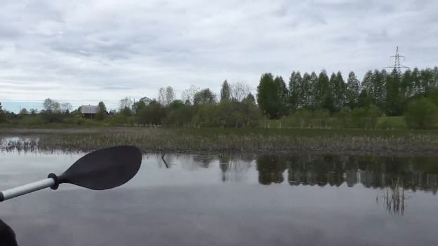 Боровики ч.2.