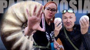ГИГАНТСКИЕ АММОНИТЫ МЕЛОВЫХ ГОР | Нашли наутилусов, причудливых бакулитов, гигантского аммонита.