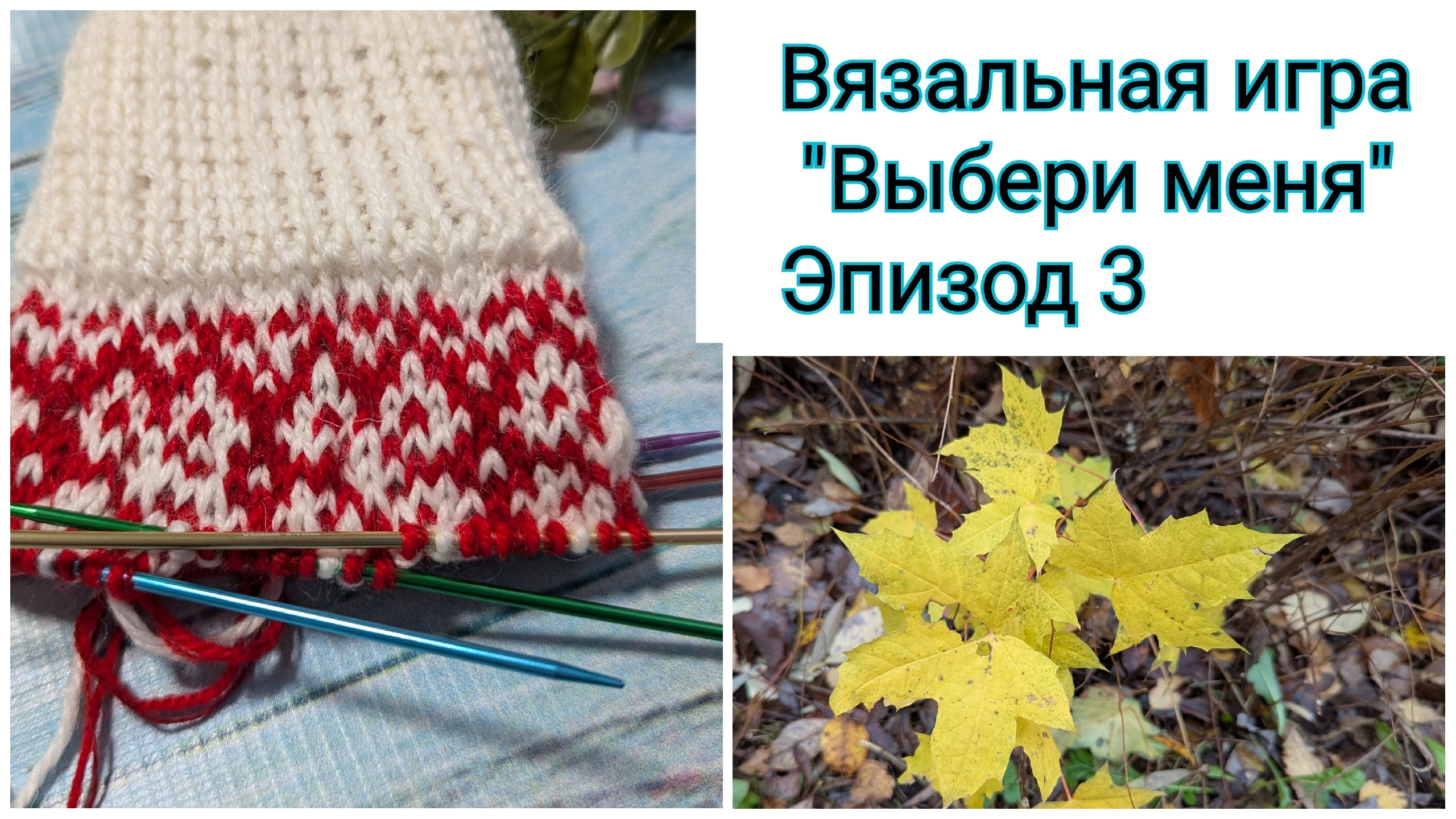 "Выбери меня". Отчёт 3. О, жаккард, обожаю тебя! Добралась до котиков 😄🐈🐈 смотреть онлайн