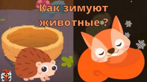 Игра "BabyBus. Как зимуют животные". Детская познавательная игра. (бейбибас, панда Коко)