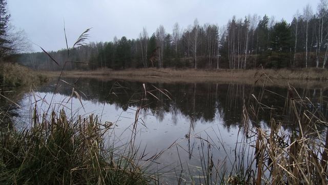 Пруд. ч.2. Декабрь 2025 смотреть онлайн