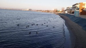 Набережная Анапа прогулка 30 ноября 2025