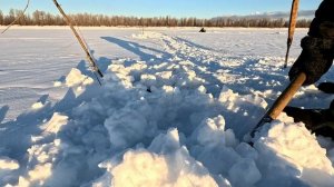 Проверка удочек. 10 день.