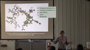Как увеличить ГУМУС. Гуминовые вещества. Кристин Джонс. - Растениеводство без 'Дураков' - Дзен