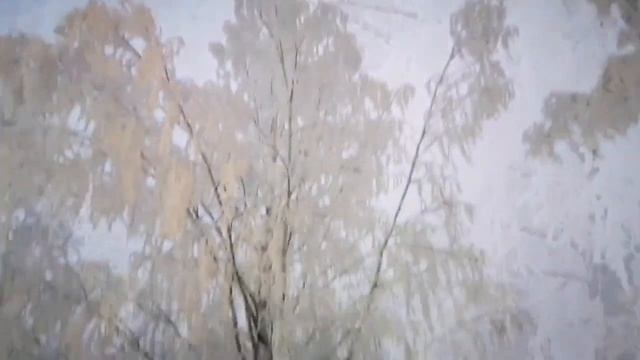 Зима в Сыктывкаре. смотреть онлайн