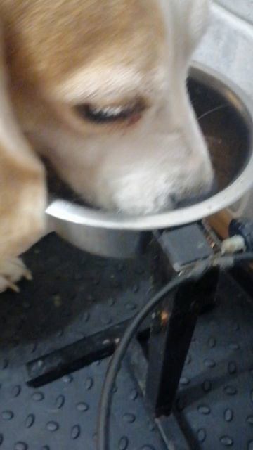 Едой не делимся. смотреть онлайн