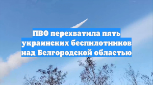 Силы ПВО уничтожили пять дронов ВСУ над регионами России