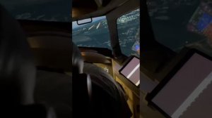 43/Подарила сыну на ДР сертификат: полёт на Авиатренажере