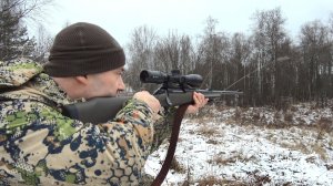 ОХОТА НА ЛОСЯ С ПОДХОДА. ВЫШЕЛ НА КОРОВУ - СТРЕЛЯТЬ ИЛИ НЕ СТРЕЛТЬ???