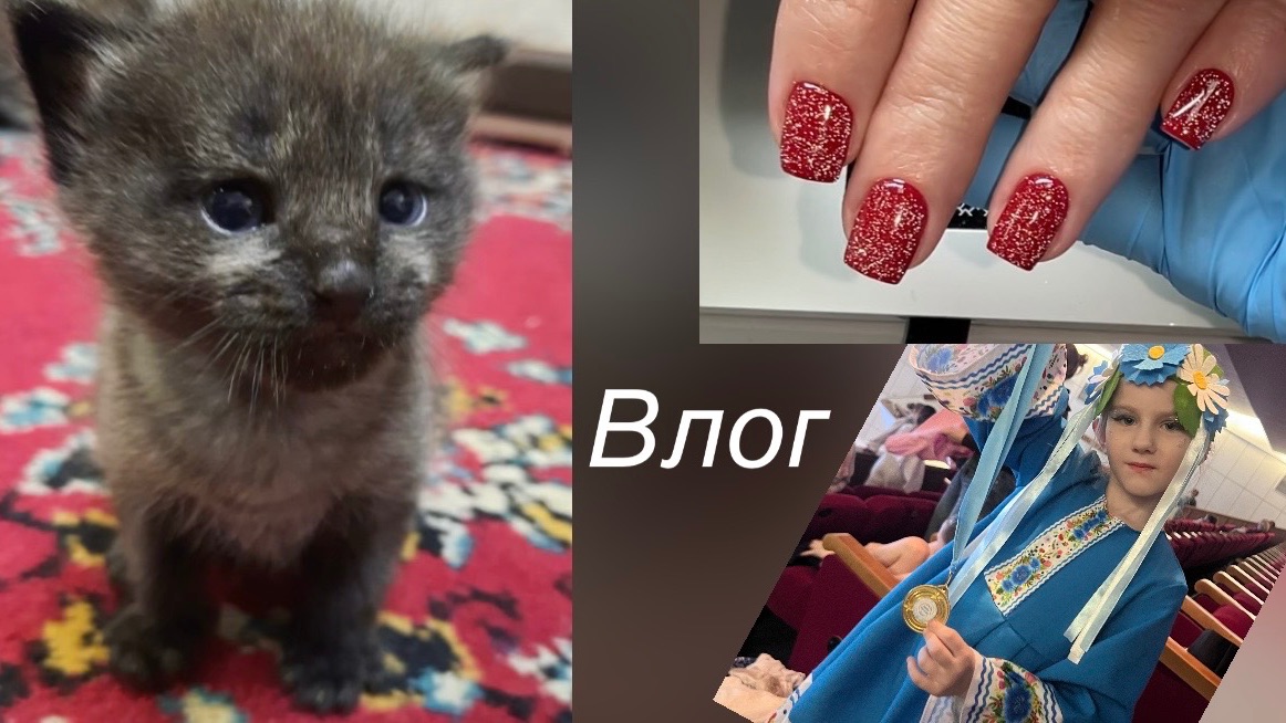 Влог/ покрыла плесень🫣/ как мы назвали кота😻/ новые гель-лаки🤩/ У Николь снова 🥇 место💃🏻