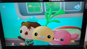 Песня Октонавтов:  скопление медуз