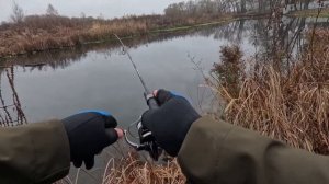 Открыл сезон зимнего спиннинга.Мормышинг.