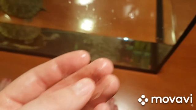 Всем субботнего ,яркого настроения! Дом,уборка! Уход за братьями меньшеми!! Распоковочка посылок! смотреть онлайн