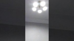 Гниги