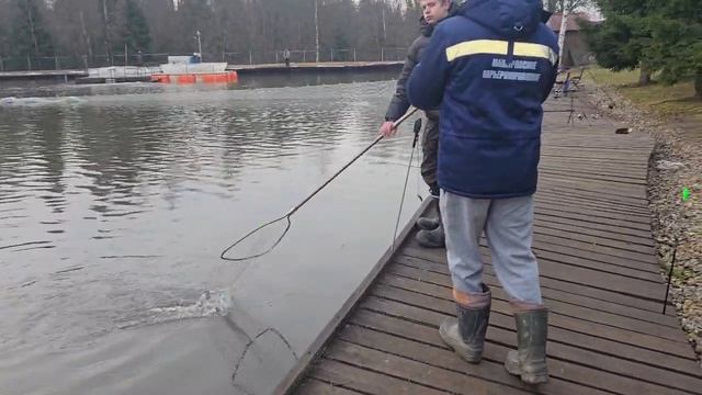 Основной водоём. смотреть онлайн
