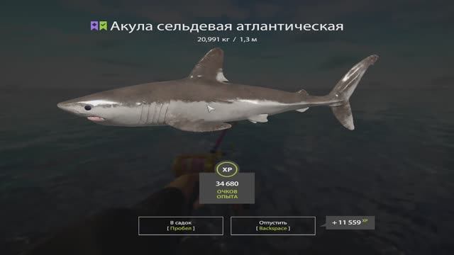 Русская Рыбалка 4. Норвежское море. 55-ая банка смотреть онлайн