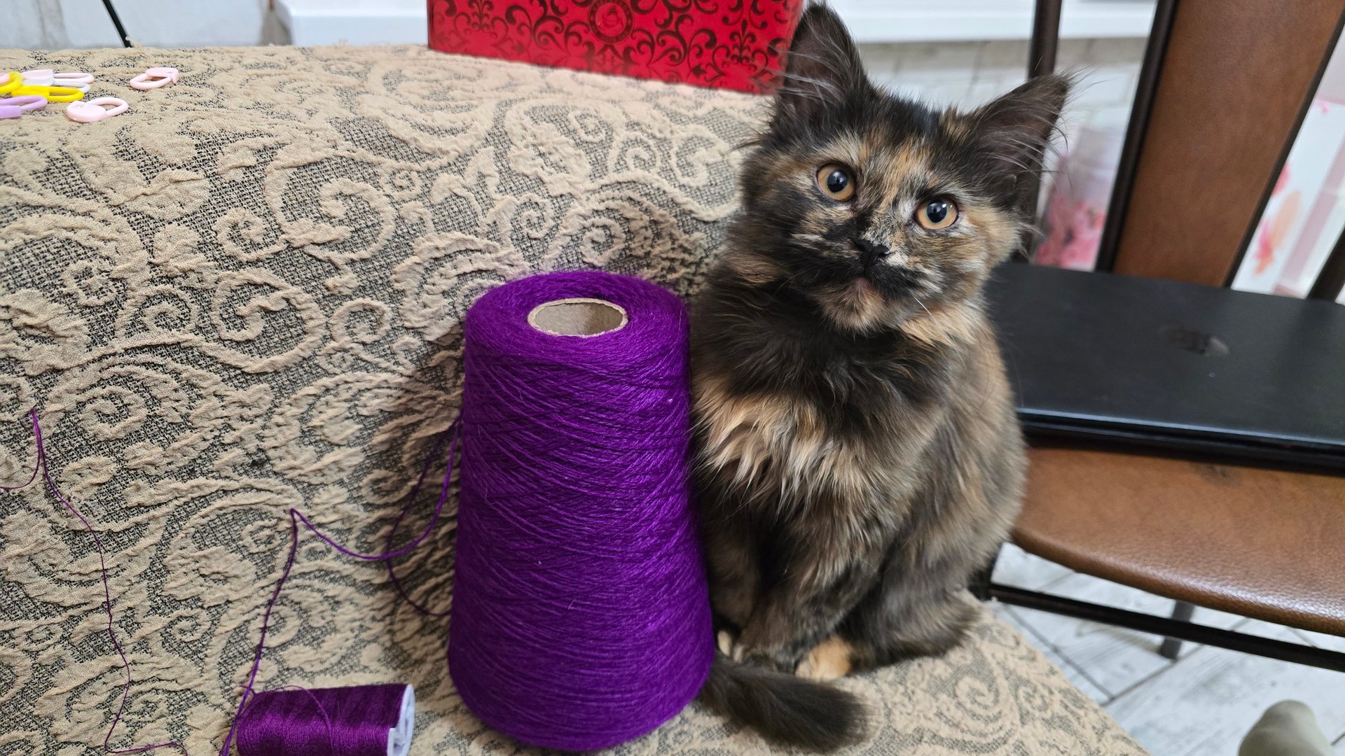 ✨️Сделал дело — ВЯЖИ смело!✨️ смотреть онлайн