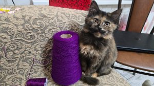 ✨️Сделал дело — ВЯЖИ смело!✨️