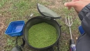 Замешал корм чеснок и анис, и половил активно карася