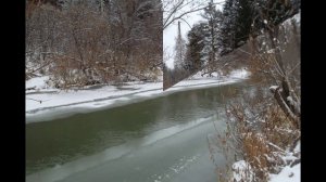 На Родине моей повыпали снега.