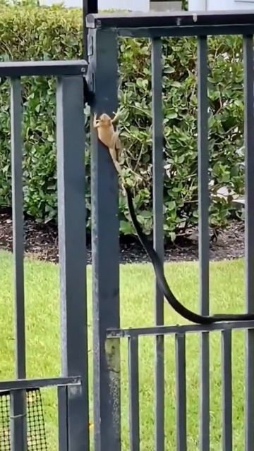 Никогда не сдавайся😳 смотреть онлайн