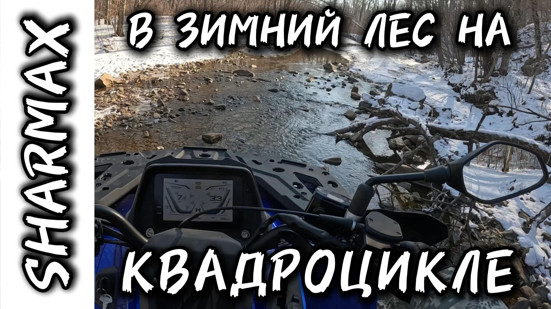 В ЗИМНИЙ ЛЕС НА КВАДРОЦИКЛЕ SHARMAX 1100 FORCE #motosnab #sharmax #квадроцикл #atv #atvvlog #vdk #4k