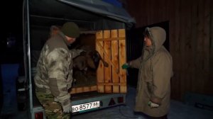 МОЛОДАЯ СЕМЬЯ ПОСЕЛИЛАСЬ В ЗАБРОШЕННОЙ ДЕРЕВНЕ И СТРО