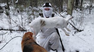 ОХОТА НА ЗАЙЦА И ЛИСУ С НАЙДОЙ! СВИСТНУЛИ ЛИСУ ИЗ ПОД НОСА!