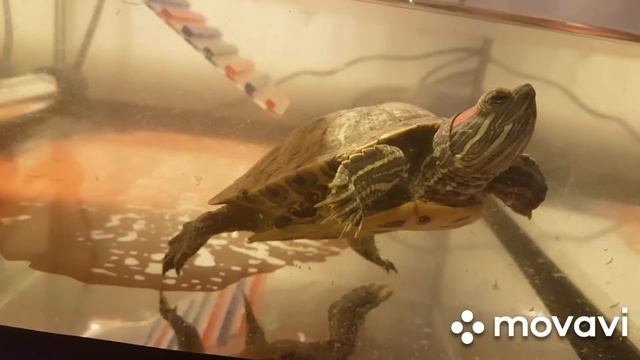 Релакс смотреть в ускореном режиме))) смотреть онлайн